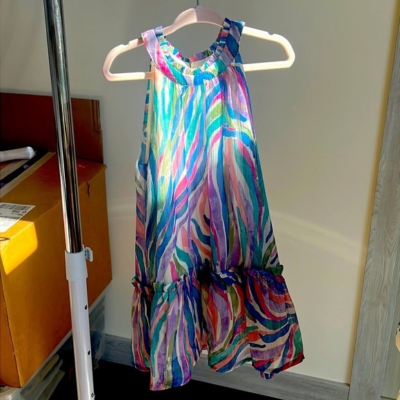 Zara Other - Beautiful detail Zara little girl dress 3-4 years pink purple green sale rare